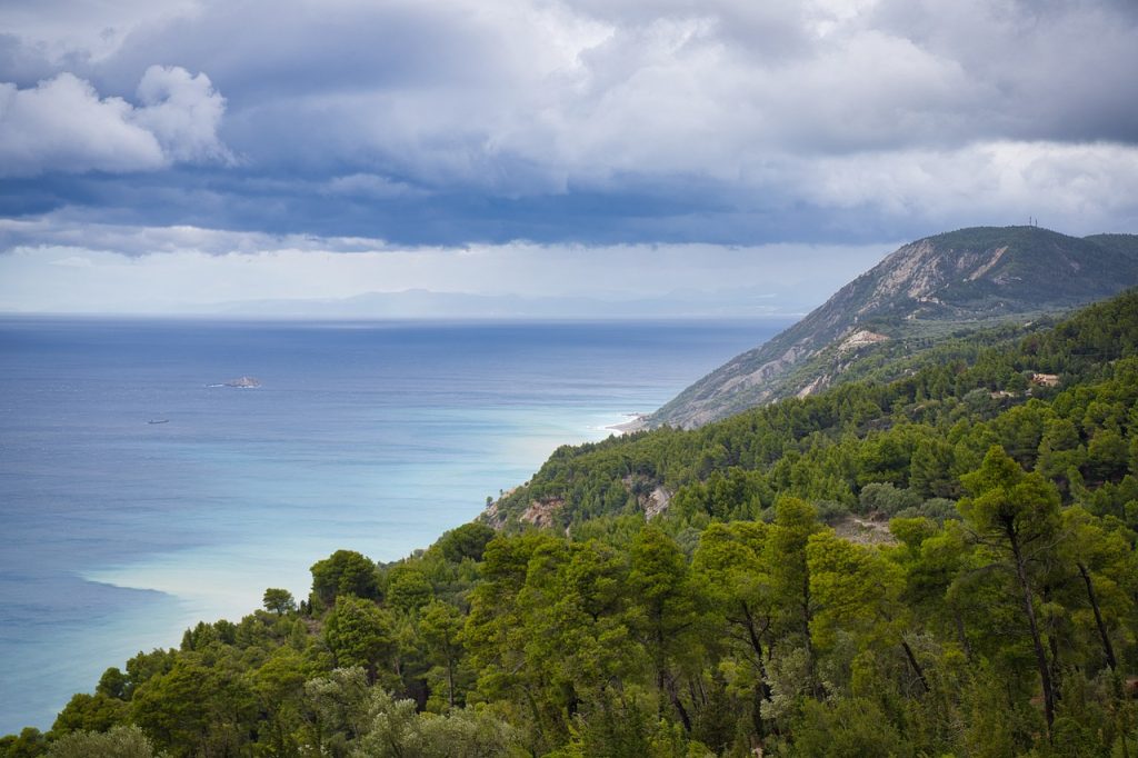 Mediterranean Forest in Greece