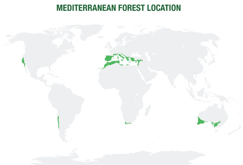 Mediterranean Forest Location Map