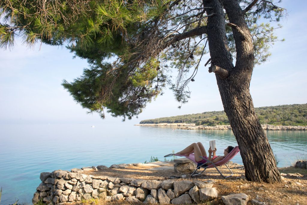 Aleppo Pine by the Sea