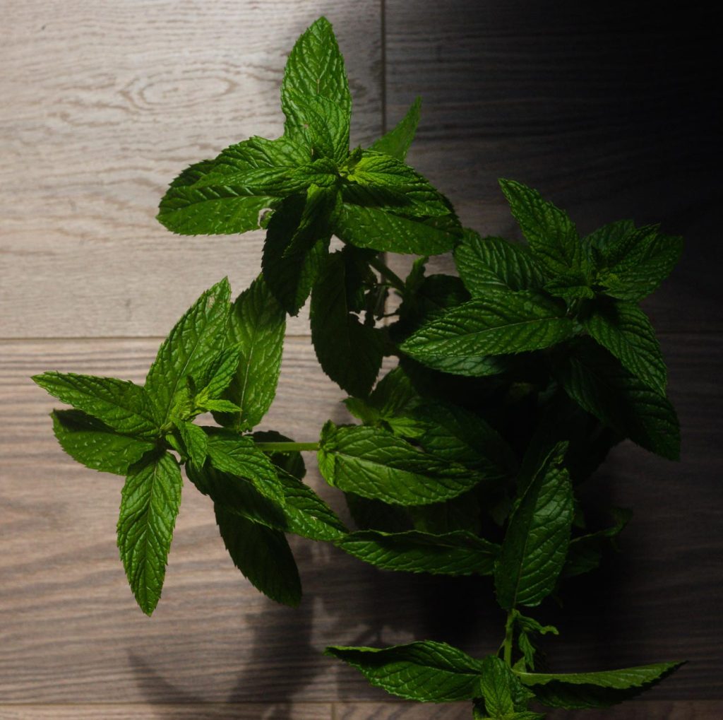 mint