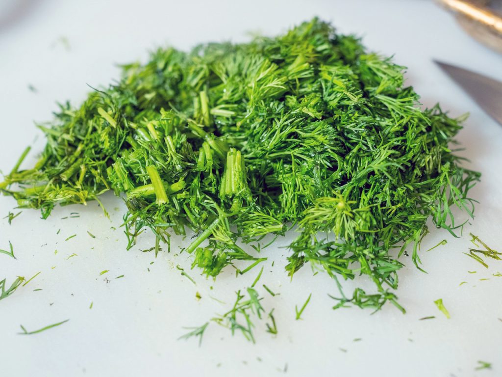 Dill is used as a condiment